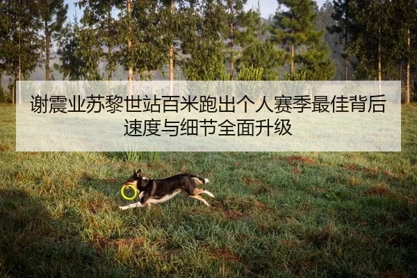 谢震业苏黎世站百米跑出个人赛季最佳背后速度与细节全面升级